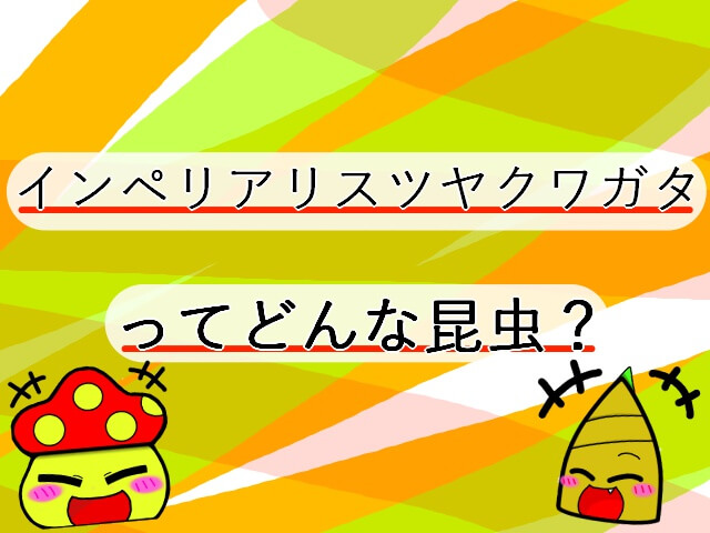 Thumbnail of post image 051